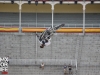 xf2012_336