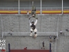 xf2012_341