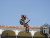 xfighters15_399